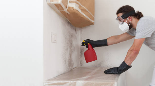 Professional Basement Mold Remediation technician working in Lexington, KY