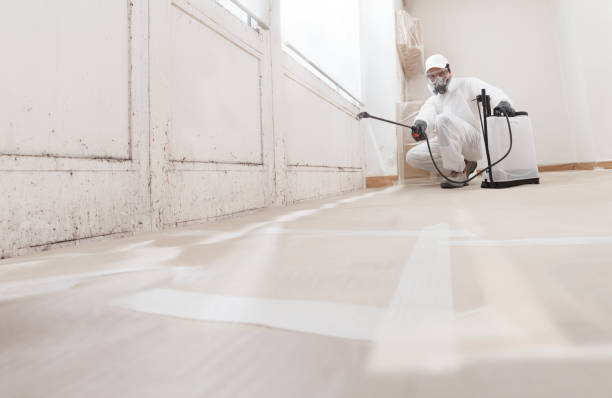 24/7 Emergency Basement Mold Remediation experts in Lexington, KY
